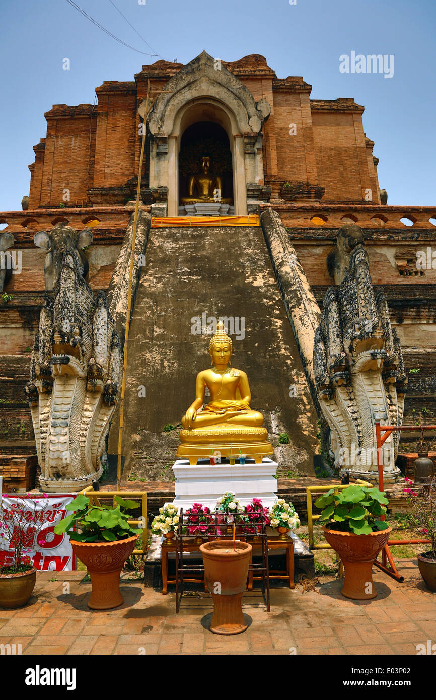 Le chedi du Wat Chedi Luang temple à Chiang Mai, Thaïlande Banque D'Images
