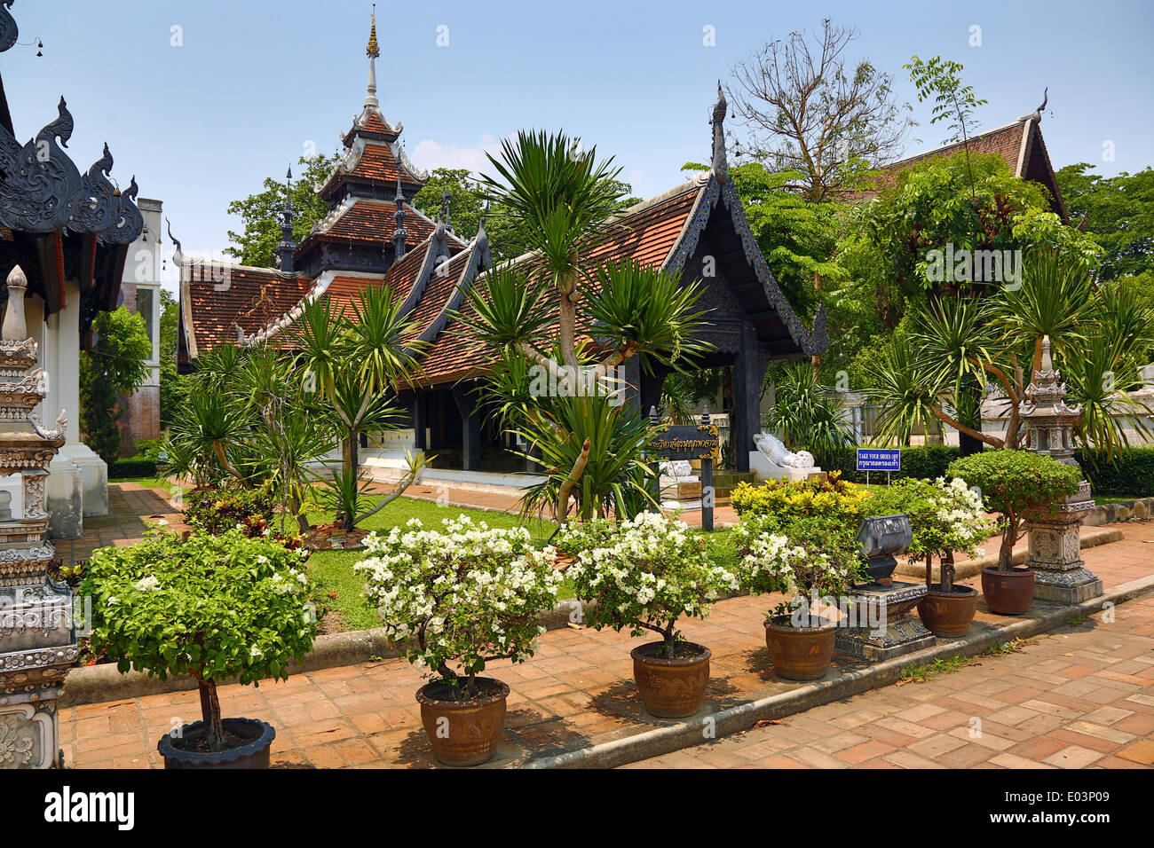 Des capacités dans le domaine de Wat Chedi Luang temple à Chiang Mai, Thaïlande Banque D'Images