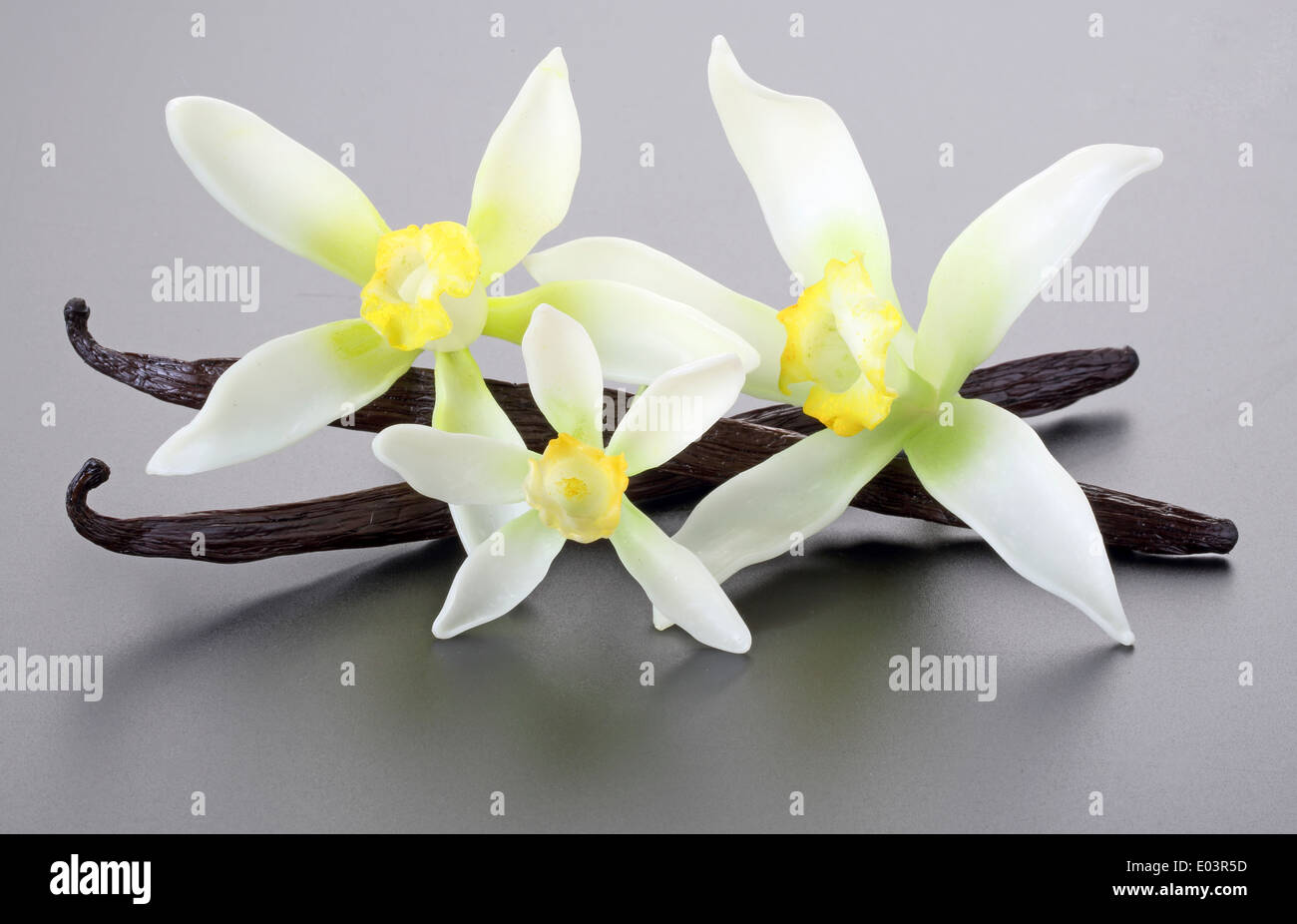 Des fleurs et des gousses de vanille Banque D'Images