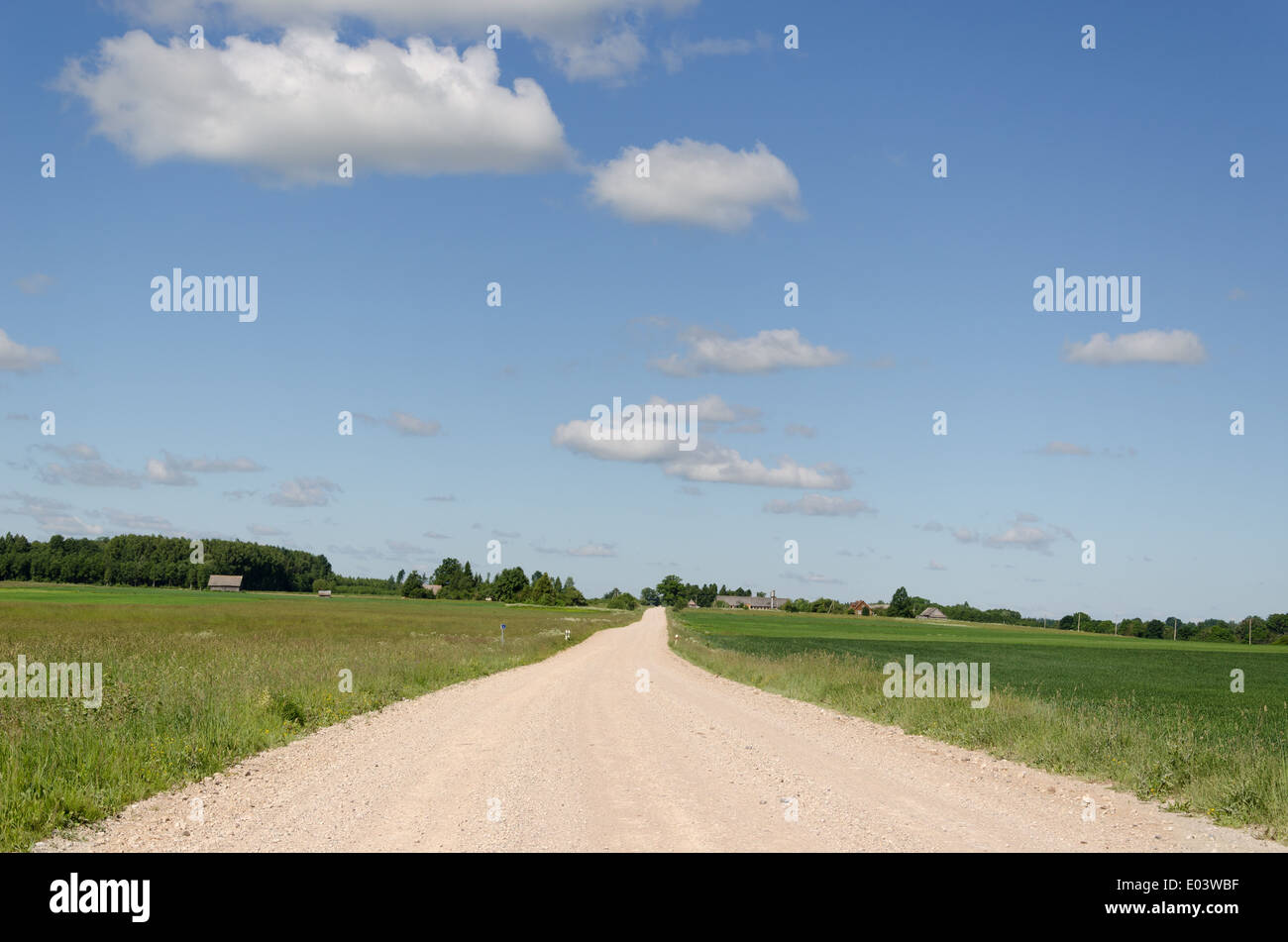 La route continue en pays de gravier le long de la distance des champs verts sur fond de ciel bleu Banque D'Images
