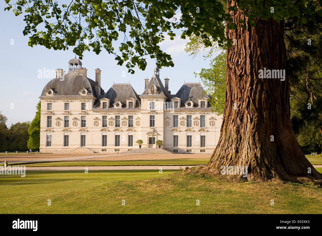 Château de Cheverny derrière l'arbre dans la vallée de la Loire, France Banque D'Images