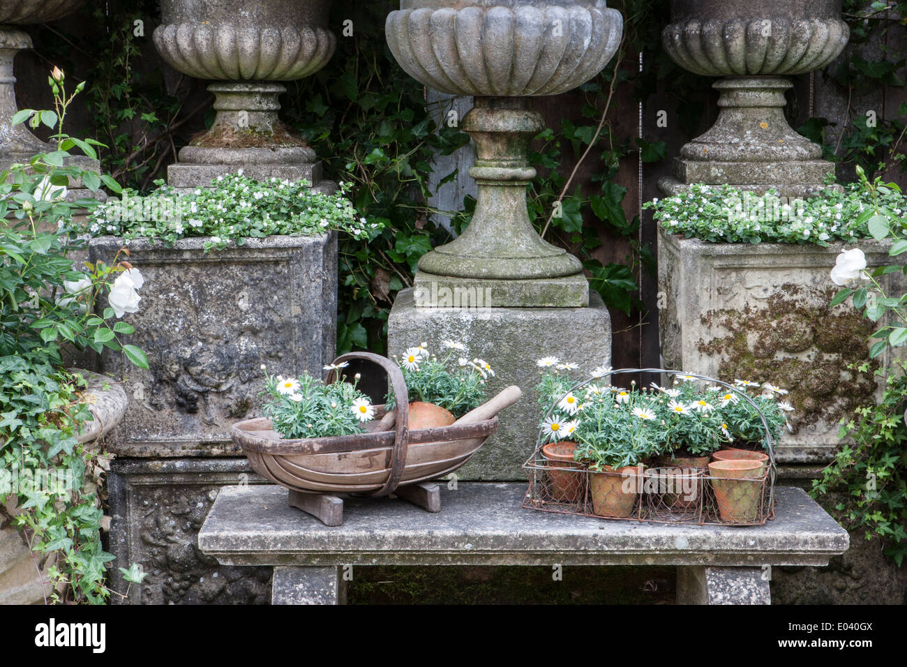 RHS Chelsea Flower show 2013 100ème centenaire Banque D'Images