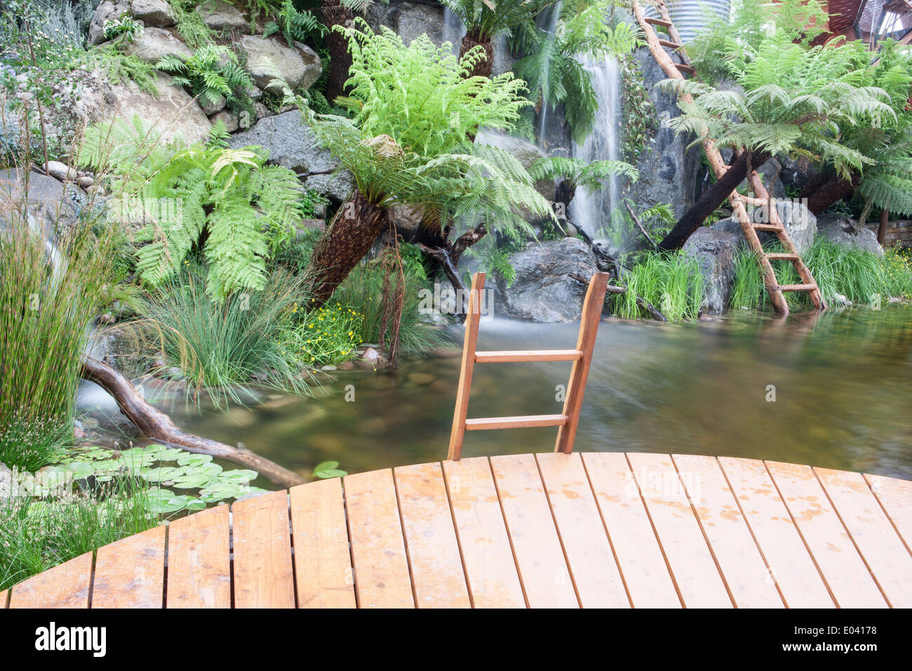 Jardin avec terrasse en bois et petit bassin profond d'étang avec plantation de fougères Dicksonia antarctica et d'autres fougères UK Banque D'Images