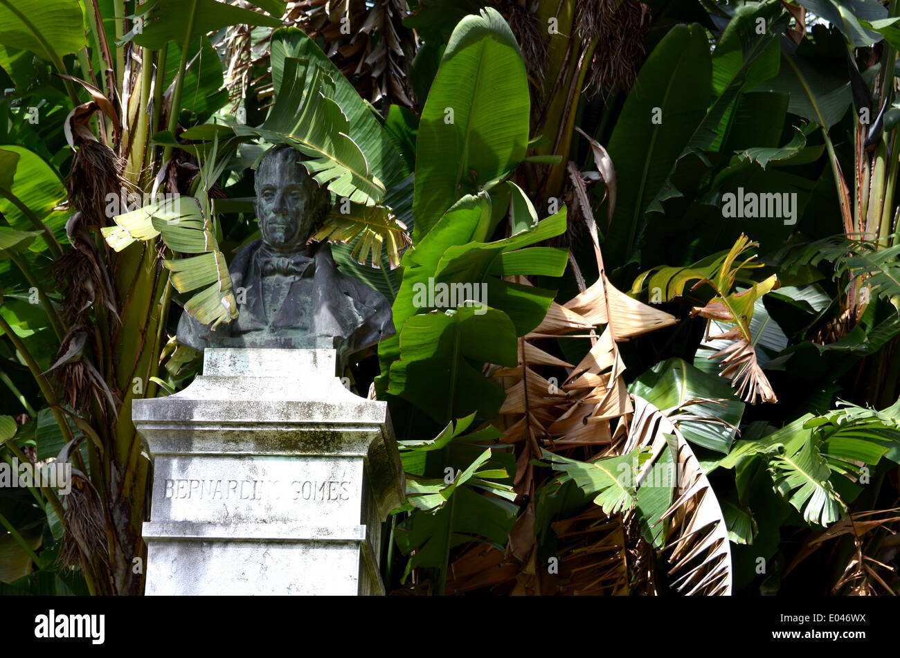 Jardin Botanique à Lisbonne Banque D'Images