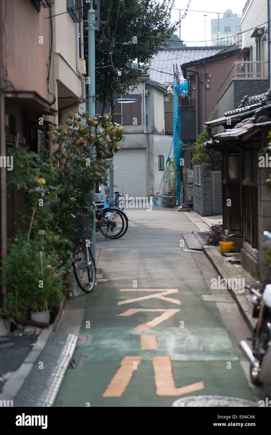 Ruelle de Nezu, Tokyo, Japon Banque D'Images