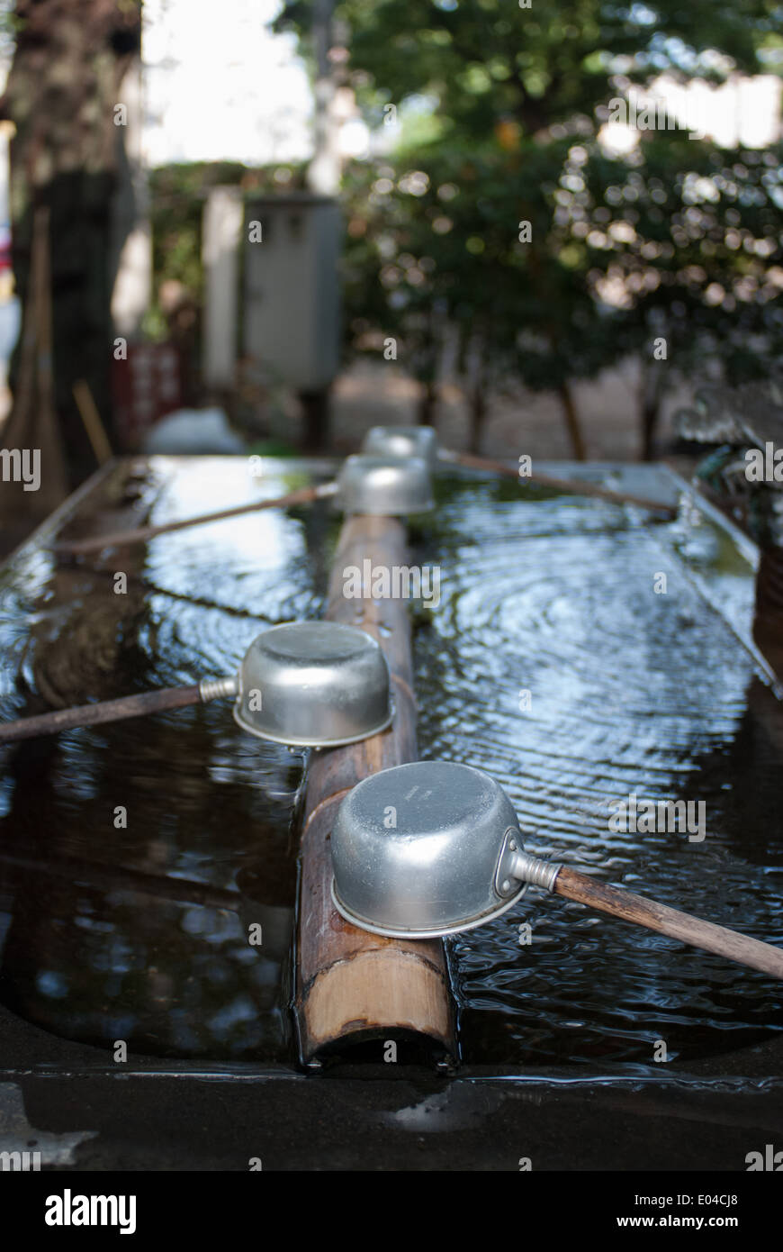 L'eau dans le bassin du Temple Kawagoe, Préfecture de Saitama, Japon Banque D'Images