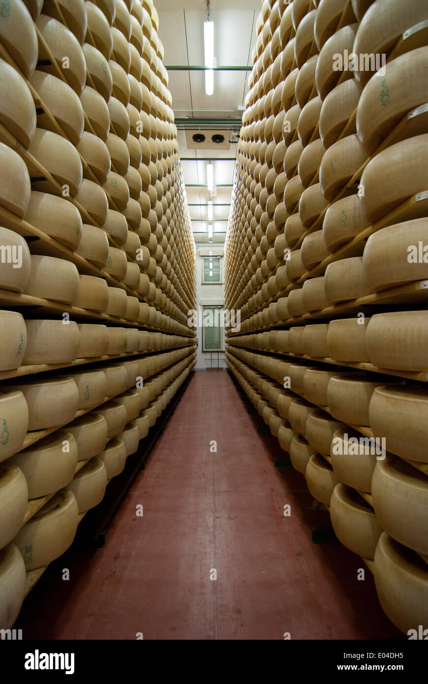 Fabrique de fromage parmesan à Parme, Italie Banque D'Images