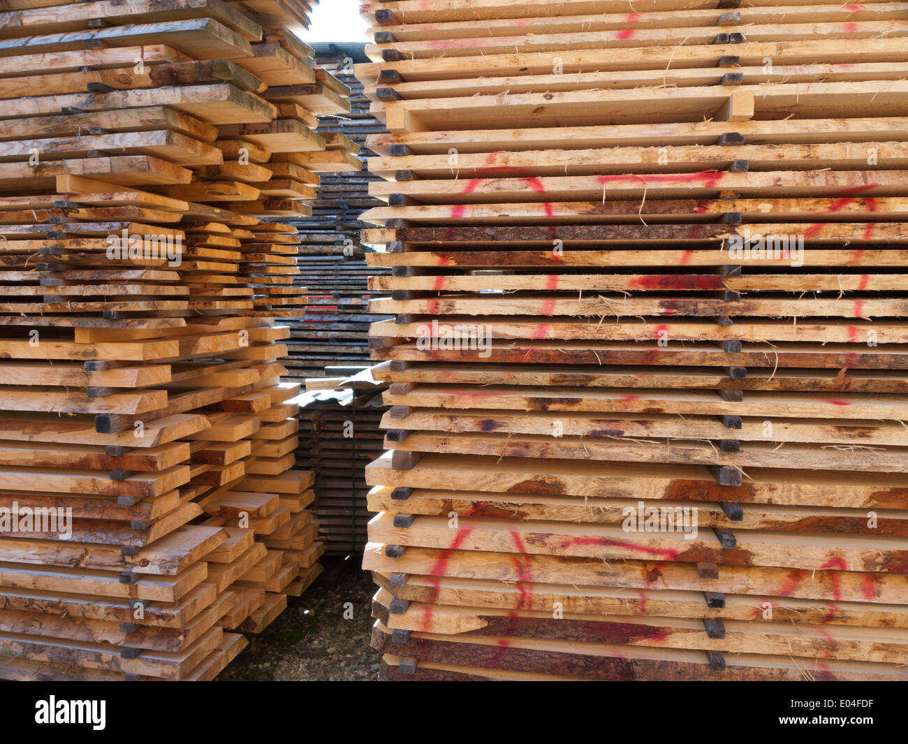 D'énormes quantités de bois / bois empilés pour transformation ultérieure à un marchand dans l'Emmental, Suisse Banque D'Images