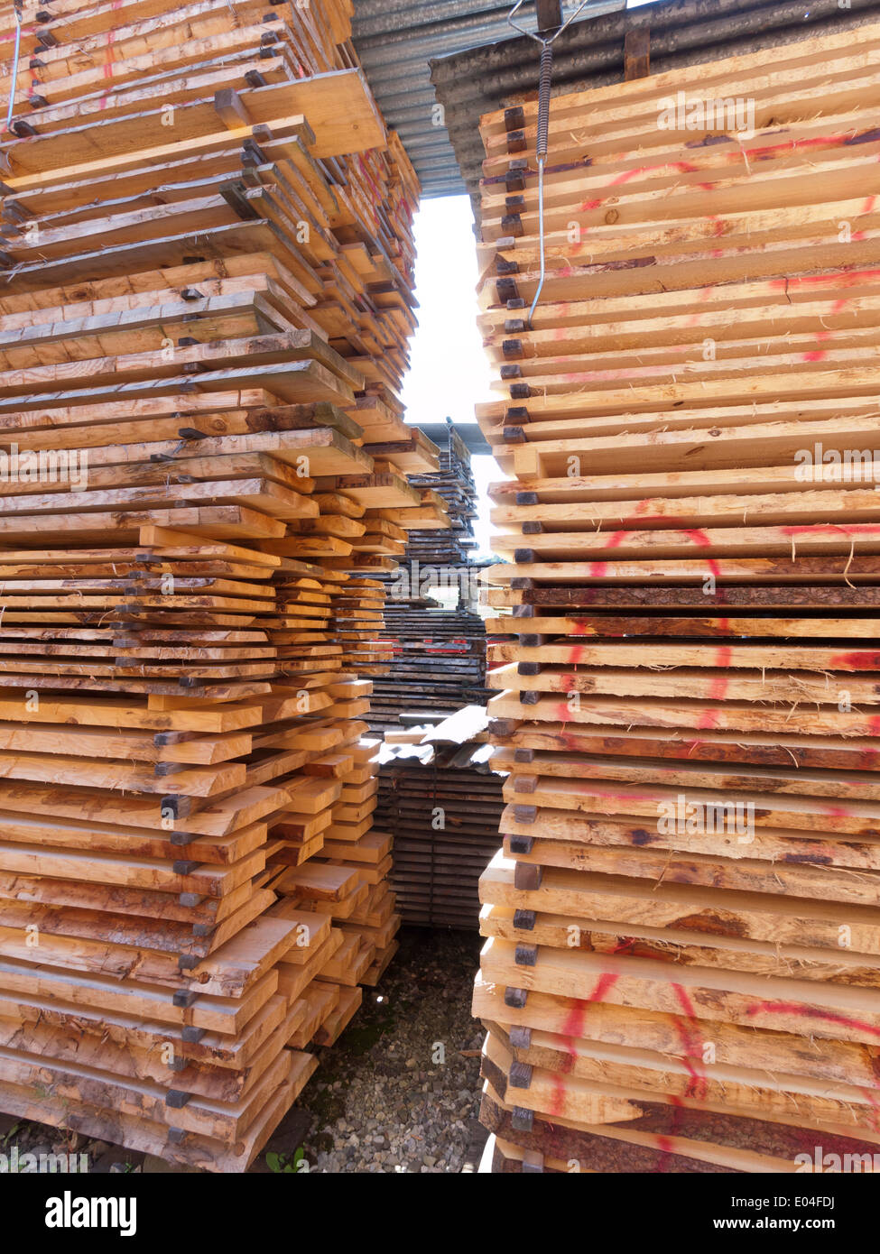 D'énormes quantités de bois / bois empilés pour transformation ultérieure à un marchand dans l'Emmental, Suisse Banque D'Images