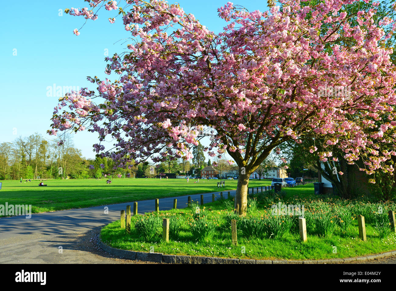 Le vert au printemps, Englefield Green, Surrey, Angleterre, Royaume-Uni Banque D'Images
