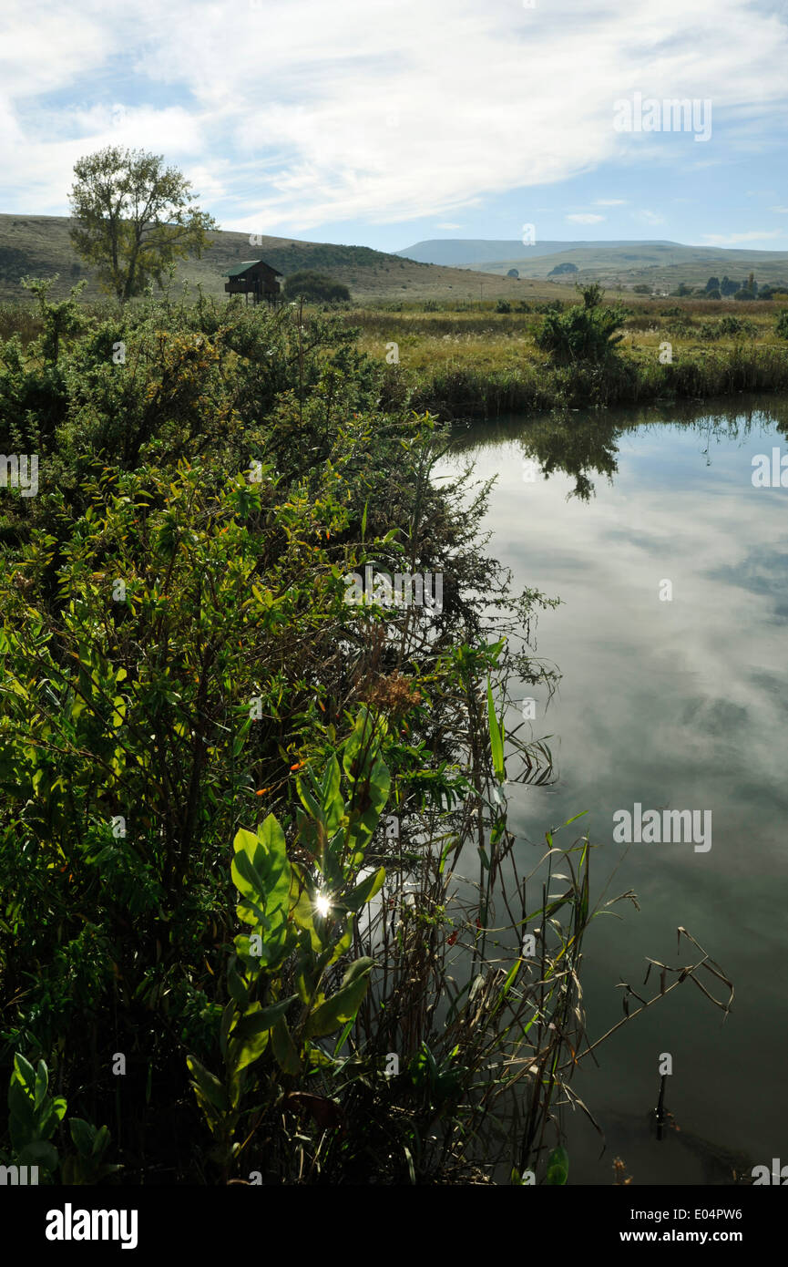 Wakkerstroom, Mpumalanga, Afrique du Sud, la réserve naturelle d'oiseaux des zones humides, le premier ministre l'observation des oiseaux, observation des oiseaux, la destination, paysage Banque D'Images