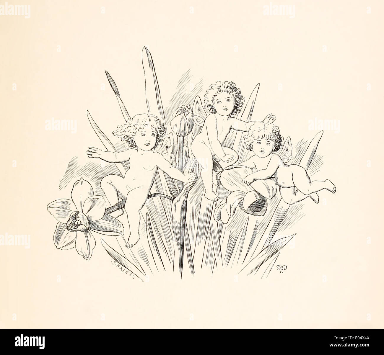 Emily Gertrude Thomson (1850-1929) Illustration de Lewis Carroll de "Trois couchers de soleil et autres poèmes" publié en 1898. Les Fées Banque D'Images