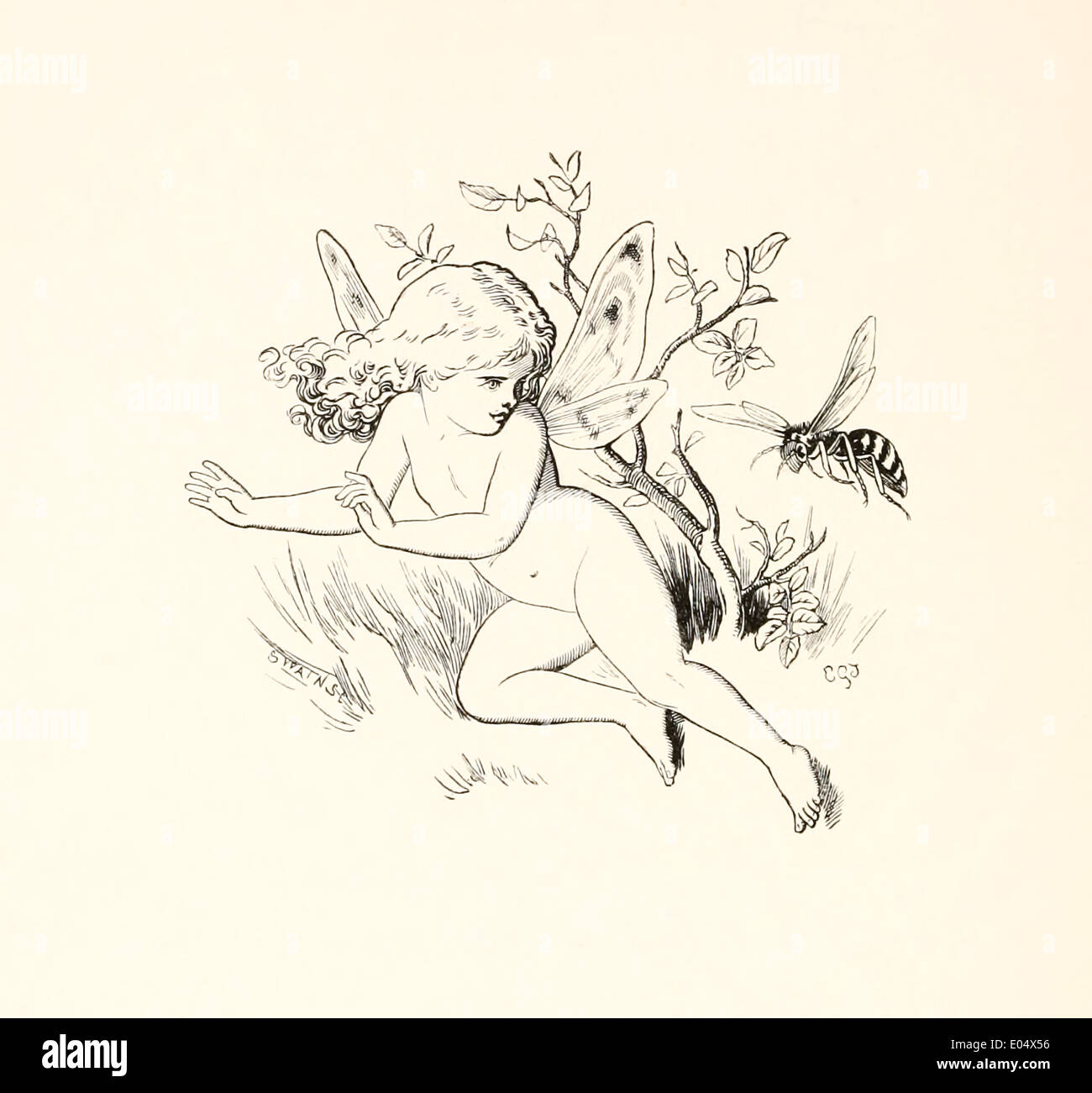 Emily Gertrude Thomson (1850-1929) Illustration de Lewis Carroll de "Trois couchers de soleil et autres poèmes" publié en 1898. Les Fées Banque D'Images