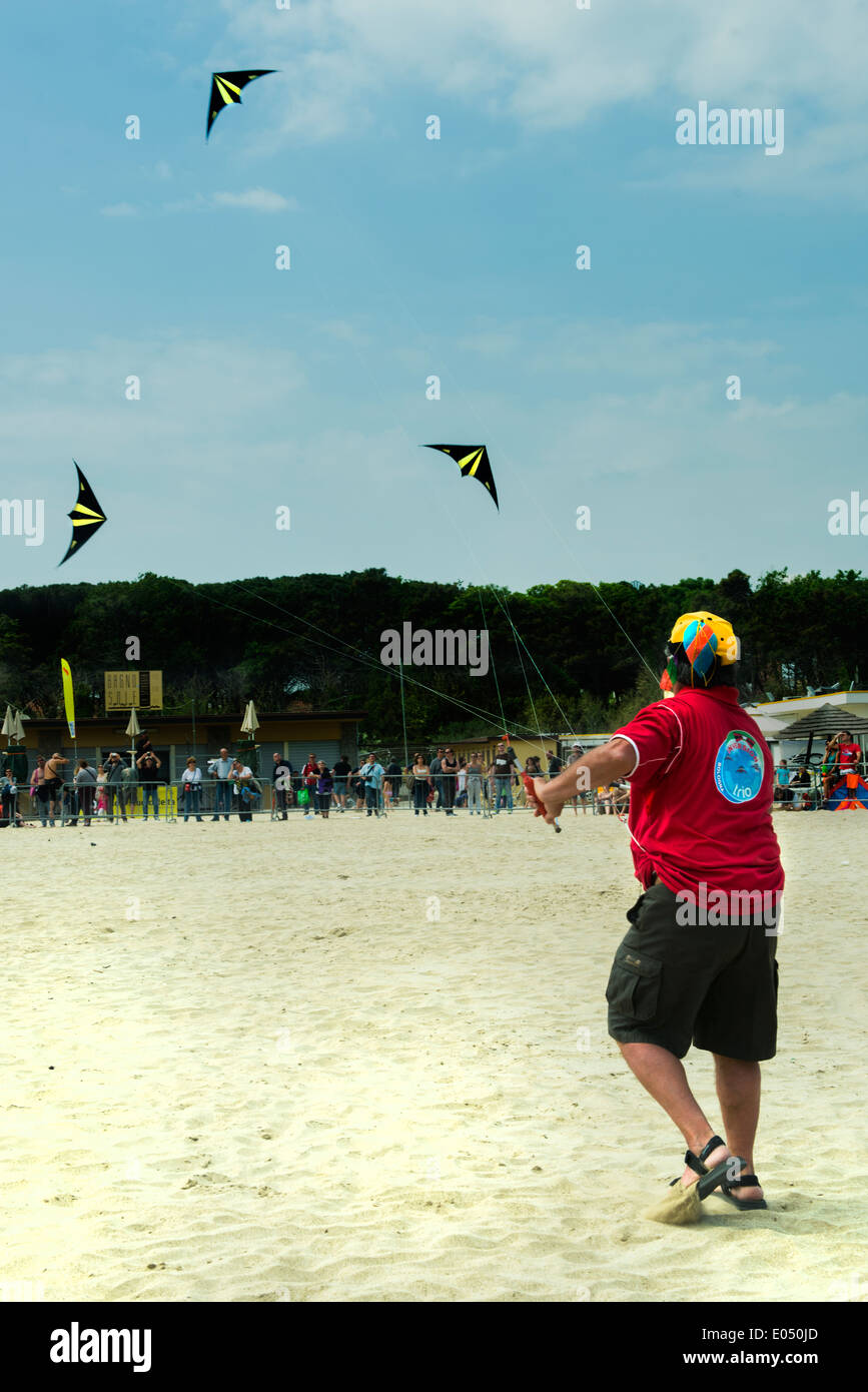 Cerfs-volants sur la plage Banque D'Images