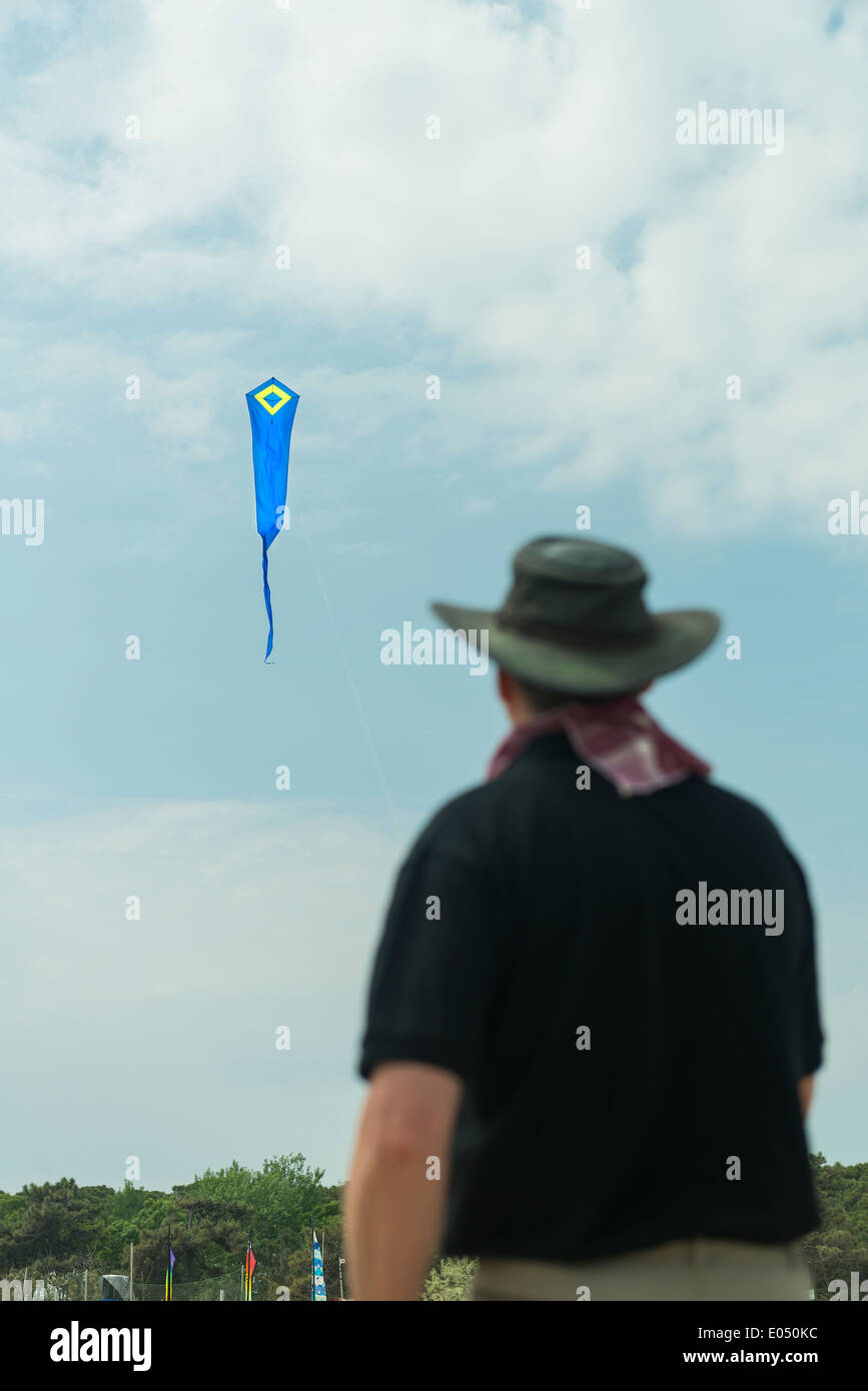 Cerfs-volants sur la plage Banque D'Images