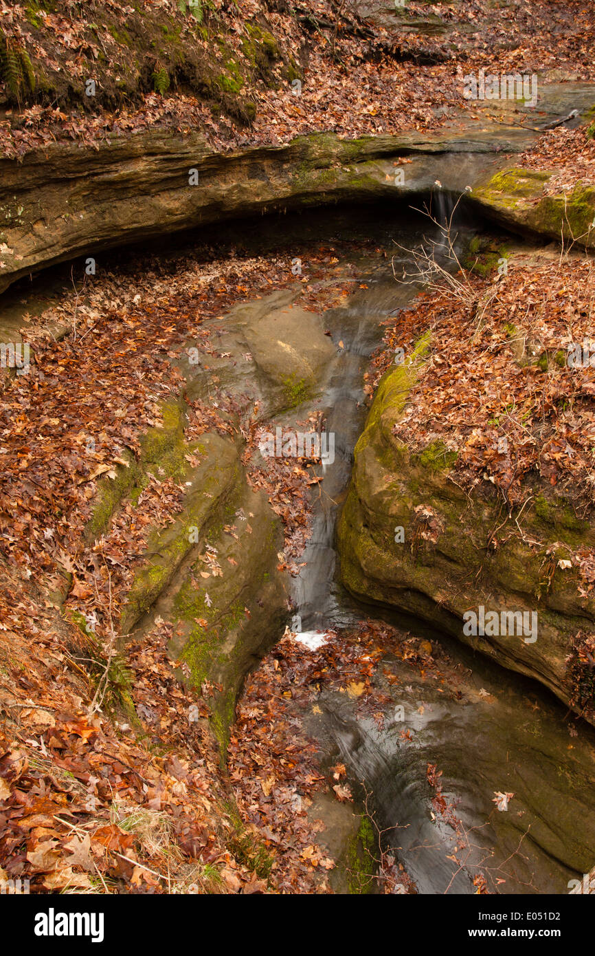 Pontiac Canyon-Starved Rock State Park Banque D'Images