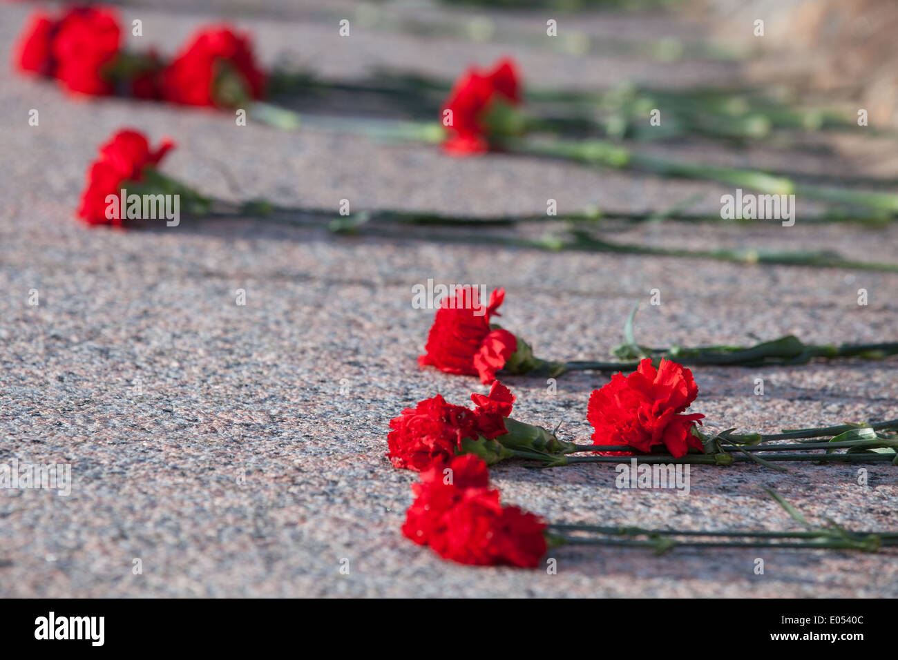 Des œillets rouges se situent sur plaque de granit de monument aux soldats Banque D'Images