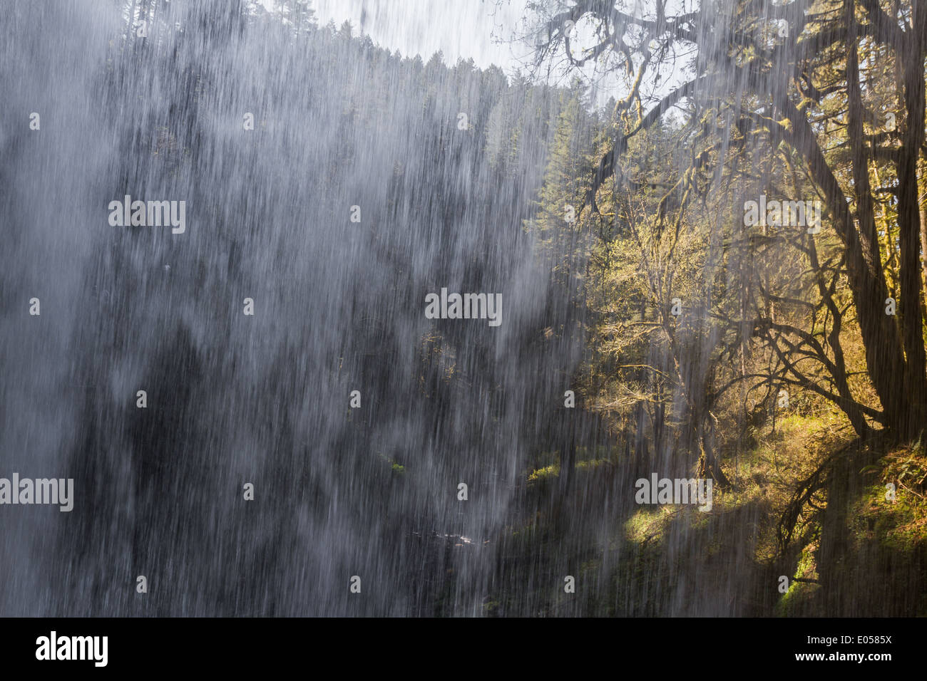 Cascade de derrière et bien allumé arbres de l'autre côté Banque D'Images