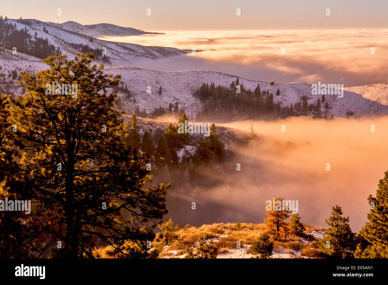 La lumière orange du soleil couleurs brouillard sur Boise Banque D'Images