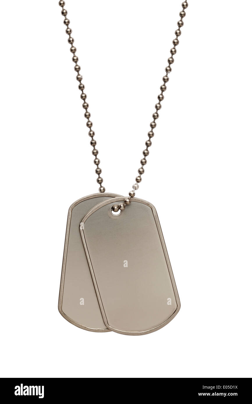 Paire de métal vierge Tags accroché sur la chaîne. Isolé sur un fond blanc. Banque D'Images