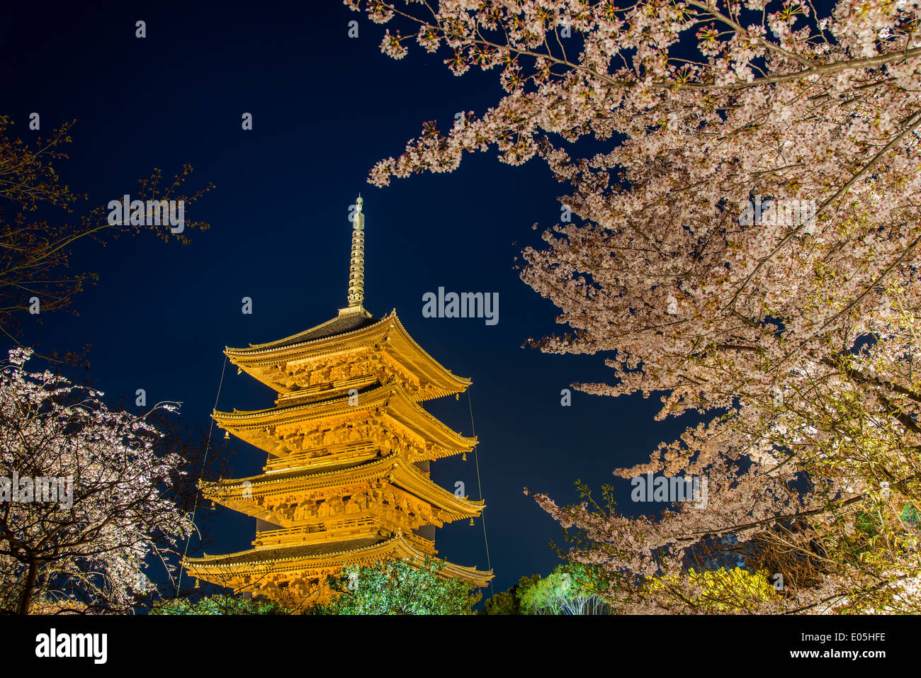 Blooming cherry tree éclairés la nuit avec de la pagode du temple Toji derrière, Kyoto, Japon Banque D'Images