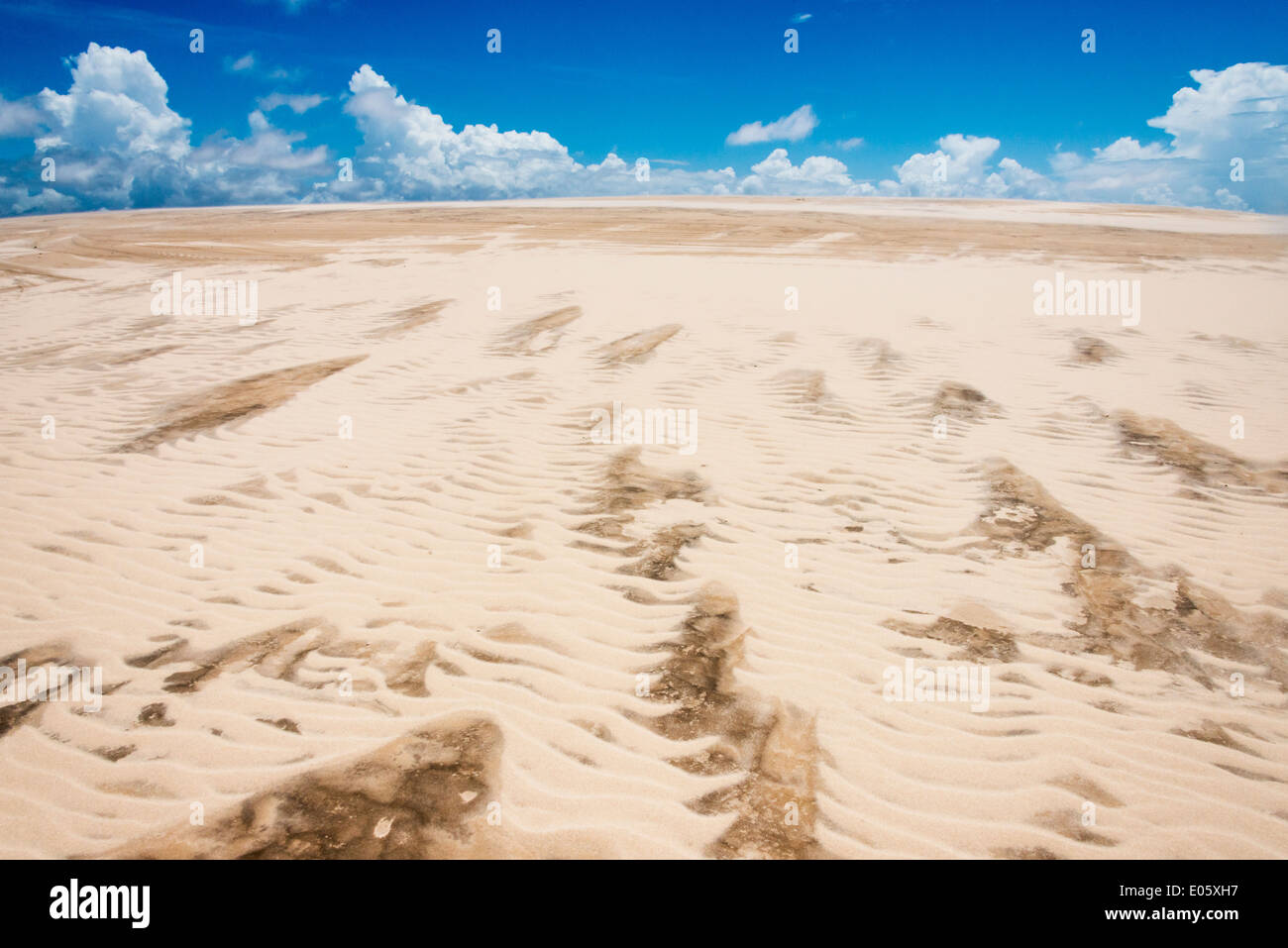 Emportés par l'patron pluie sur dune de sable ressemblant à Lencois Maranheinses peinture, Parc National, l'État de Maranhao, Brésil Banque D'Images
