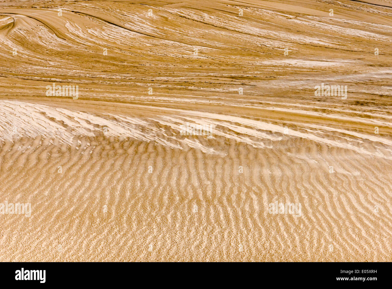 Emportés par l'patron pluie sur dune de sable ressemblant à Lencois Maranheinses peinture, Parc National, l'État de Maranhao, Brésil Banque D'Images