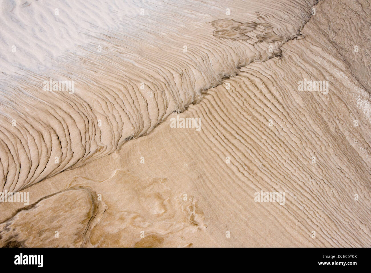 Emportés par l'patron pluie sur dune de sable ressemblant à Lencois Maranheinses peinture, Parc National, l'État de Maranhao, Brésil Banque D'Images