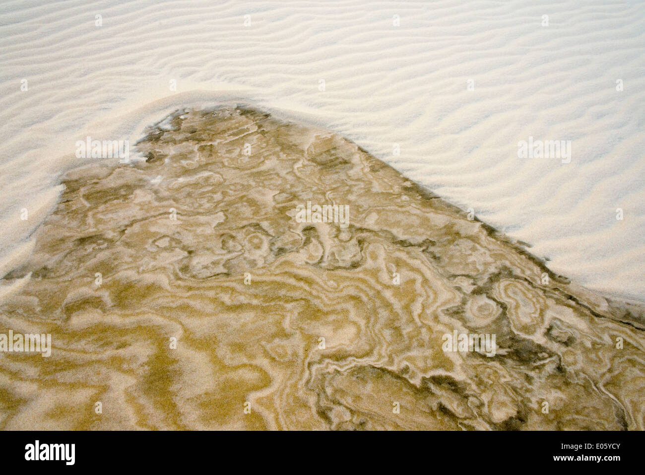 Emportés par l'patron pluie sur dune de sable ressemblant à Lencois Maranheinses peinture, Parc National, l'État de Maranhao, Brésil Banque D'Images