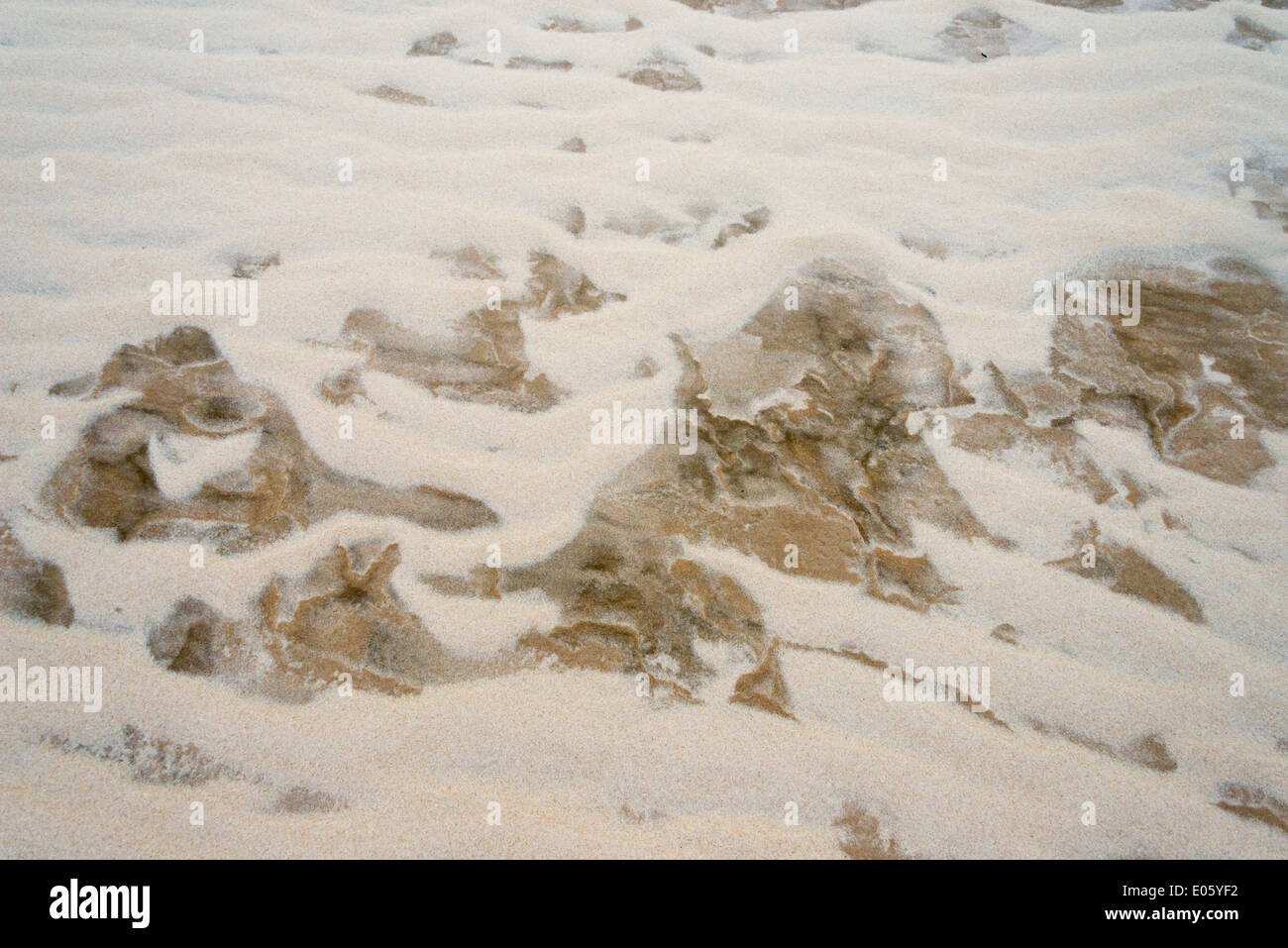 Emportés par l'patron pluie sur dune de sable ressemblant à Lencois Maranheinses peinture, Parc National, l'État de Maranhao, Brésil Banque D'Images