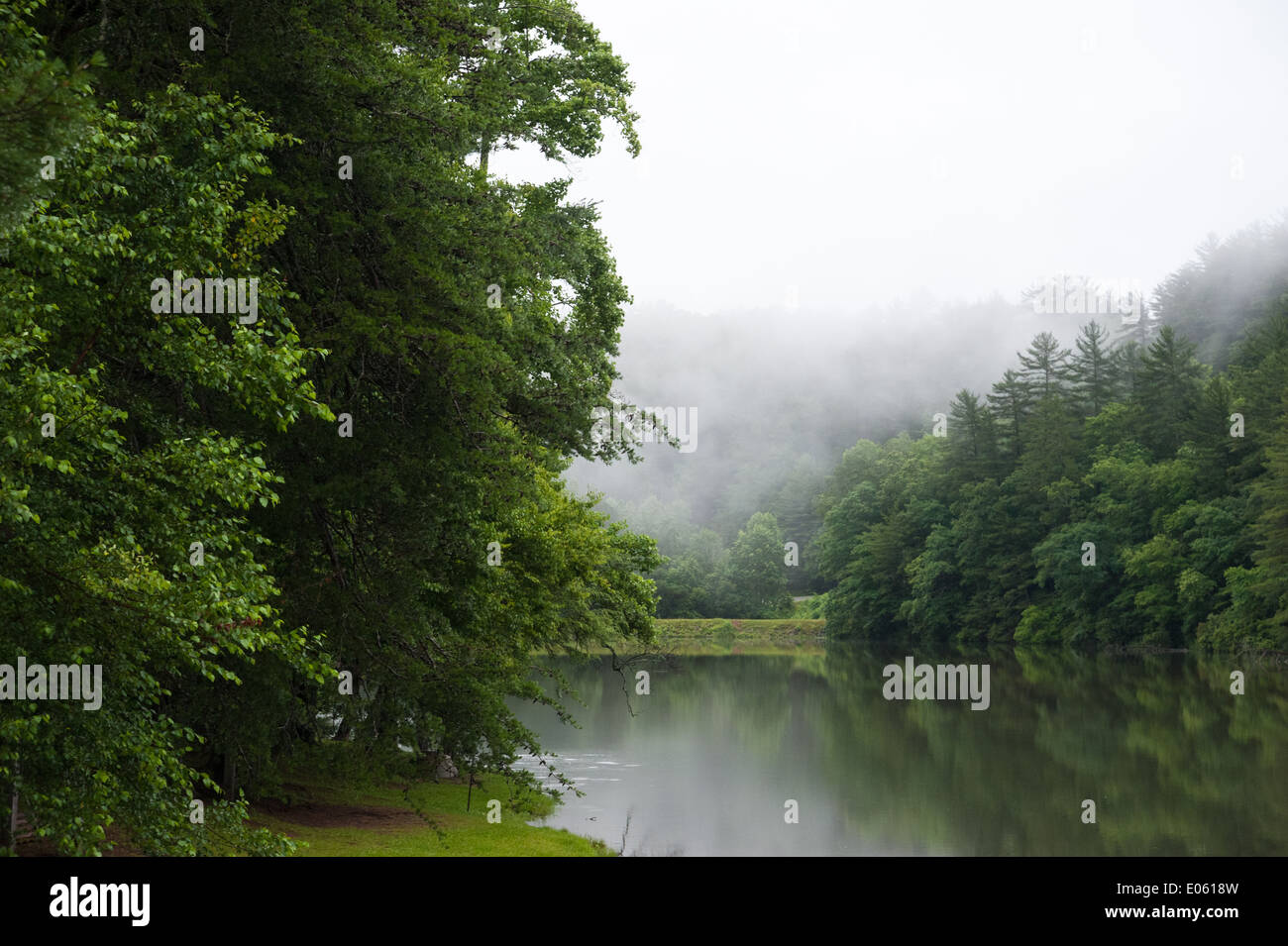 La beauté luxuriante et la tranquillité de parc d'état de Vogel dans le nord des montagnes de la Géorgie, États-Unis. Banque D'Images