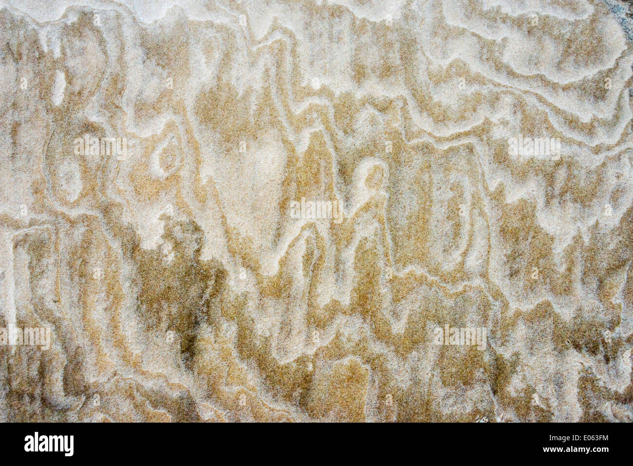 Emportés par l'patron pluie sur dune de sable ressemblant à Lencois Maranheinses peinture, Parc National, l'État de Maranhao, Brésil Banque D'Images