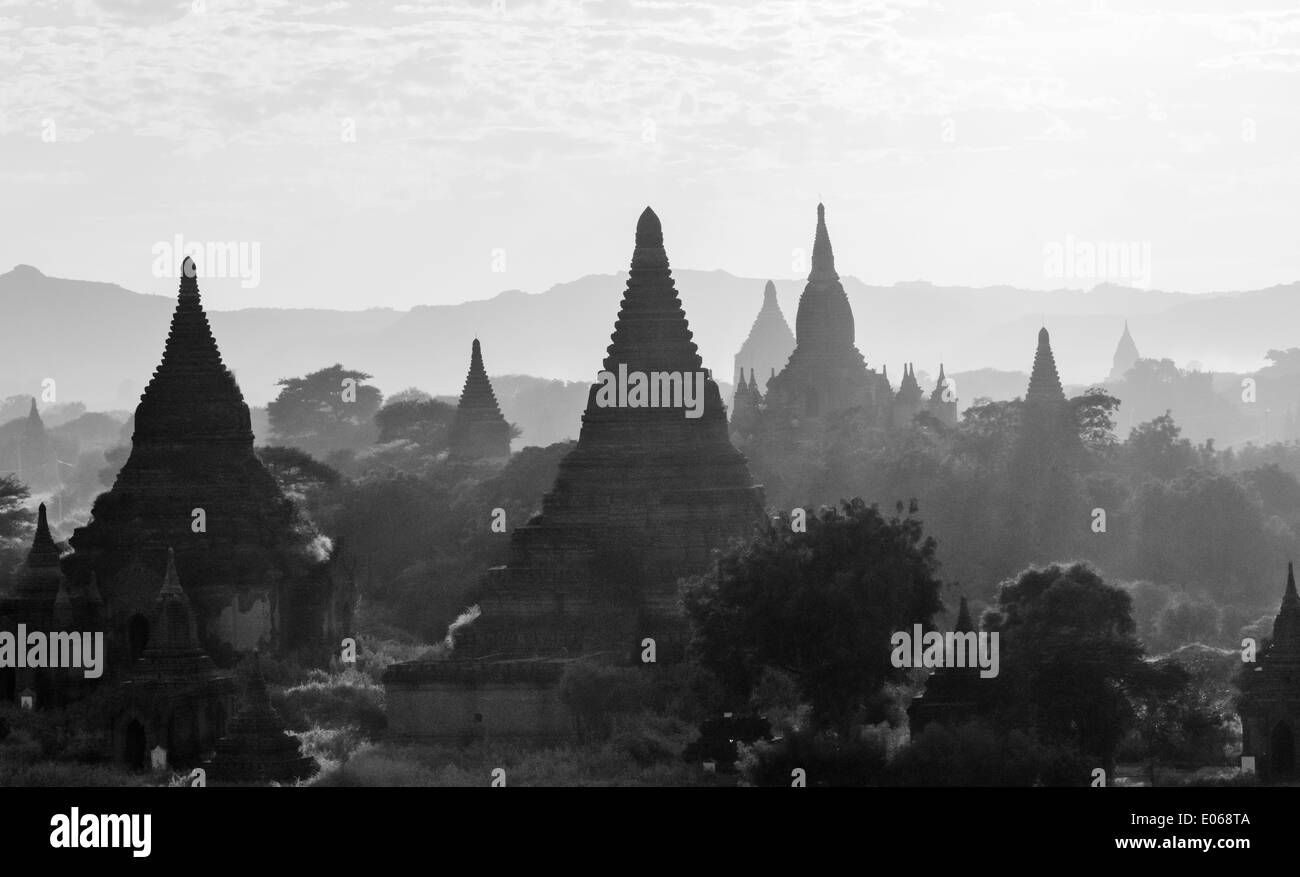 Temples et pagodes dans la jungle, Bagan, Myanmar Banque D'Images