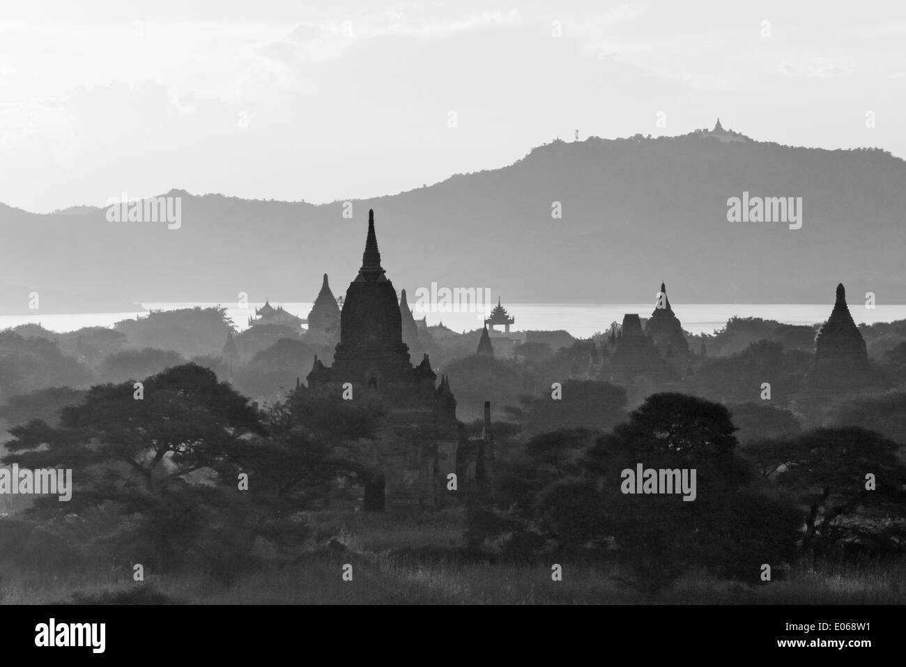 Temples et pagodes dans la jungle, Bagan, Myanmar Banque D'Images