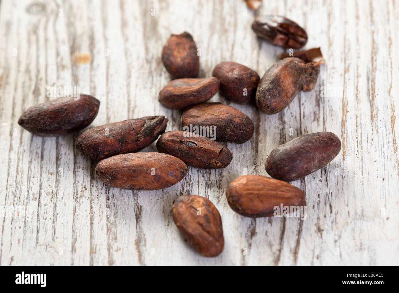 Les fèves de cacao sur une planche de bois blanc Banque D'Images