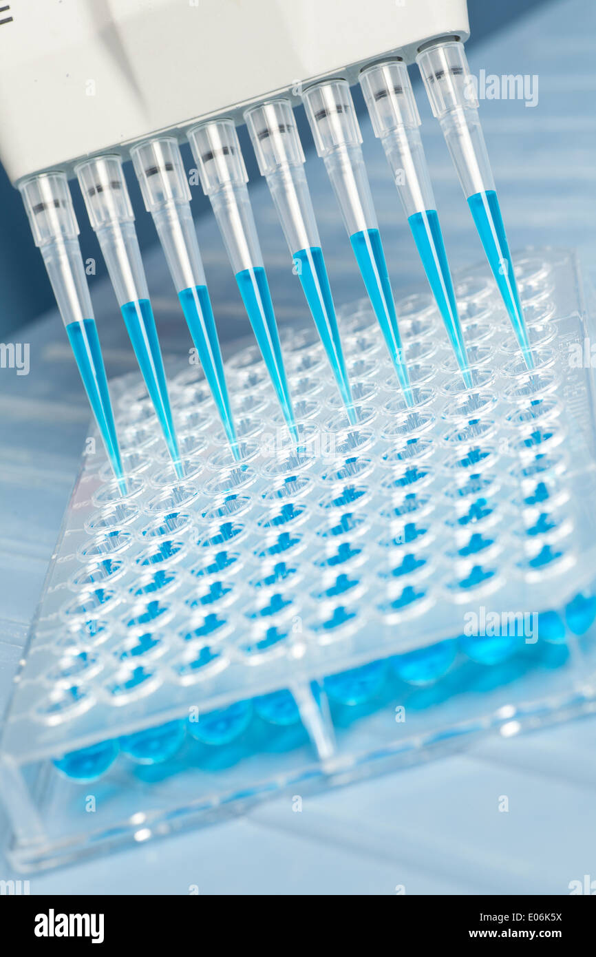 Des échantillons d'une pipette dans un profond puits Banque D'Images