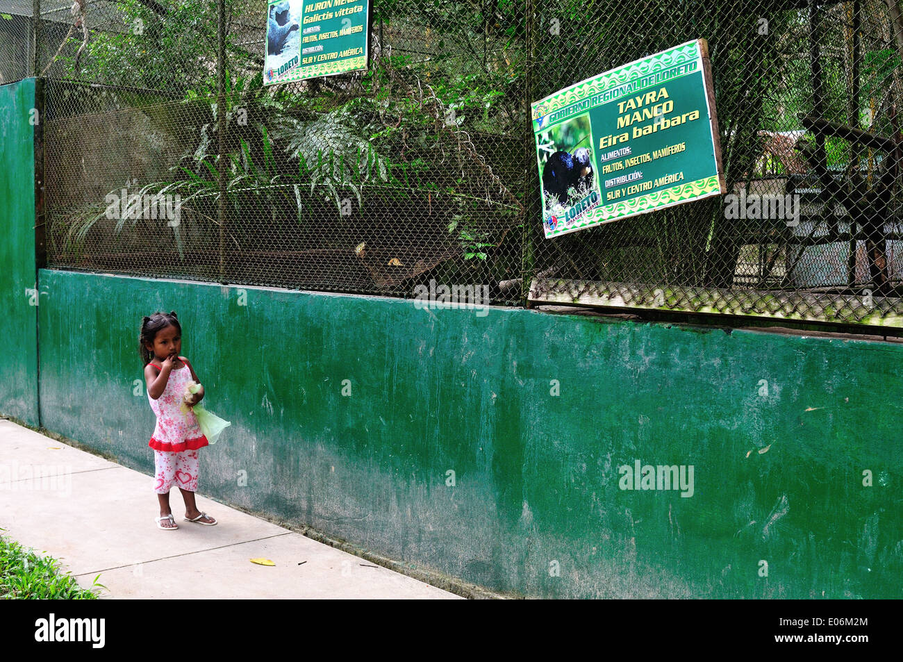 Huron - cage QUISTOCOCHA - Parc Zoologique à Iquitos. Département de Loreto .PÉROU Banque D'Images