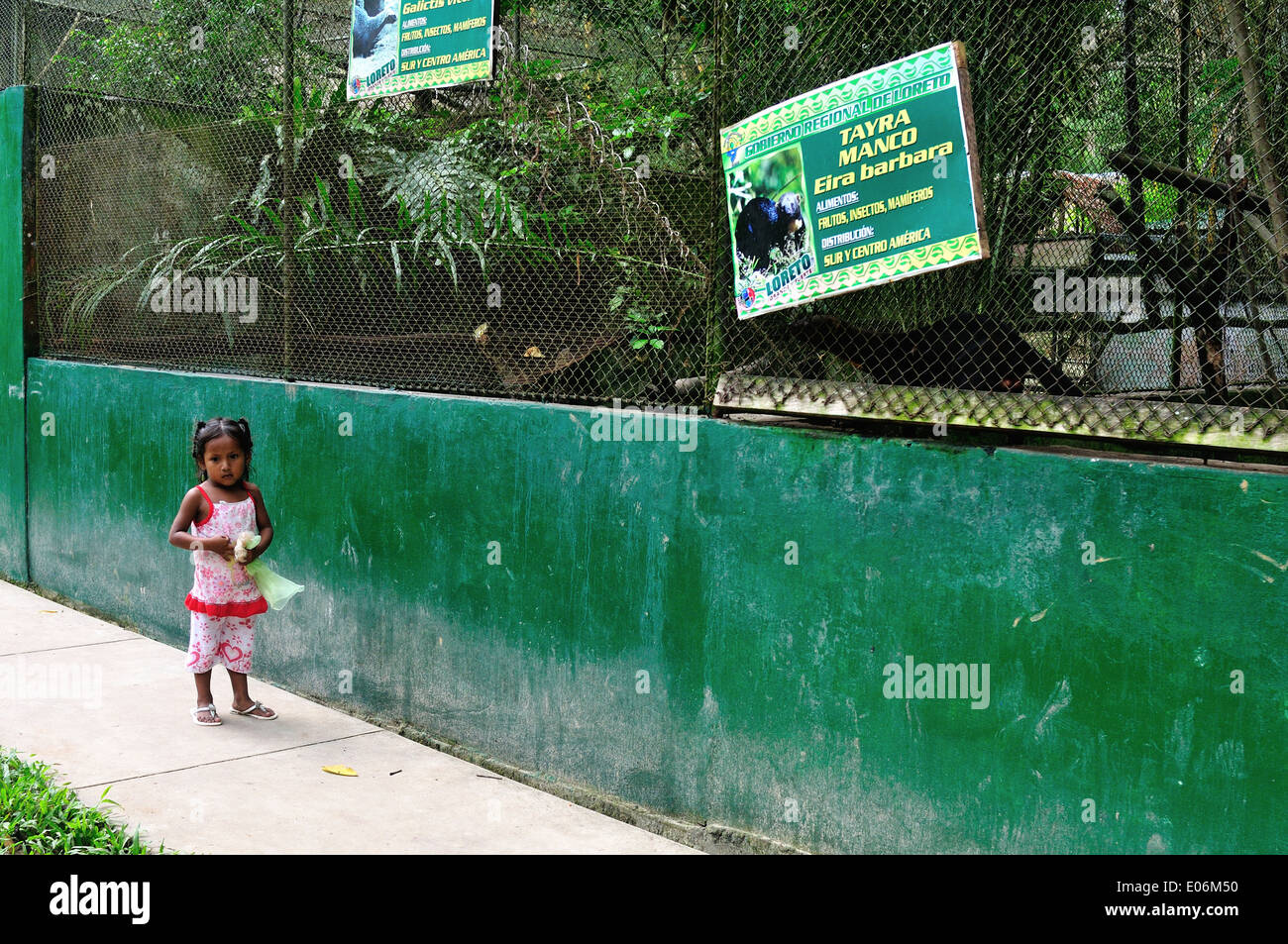 Huron - cage QUISTOCOCHA - Parc Zoologique à Iquitos. Département de Loreto .PÉROU Banque D'Images