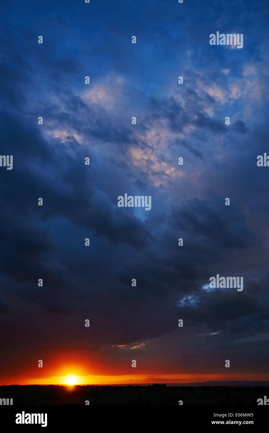 Coucher du soleil dans le Parc National du Serengeti, verticalement avec un ciel nuageux Banque D'Images