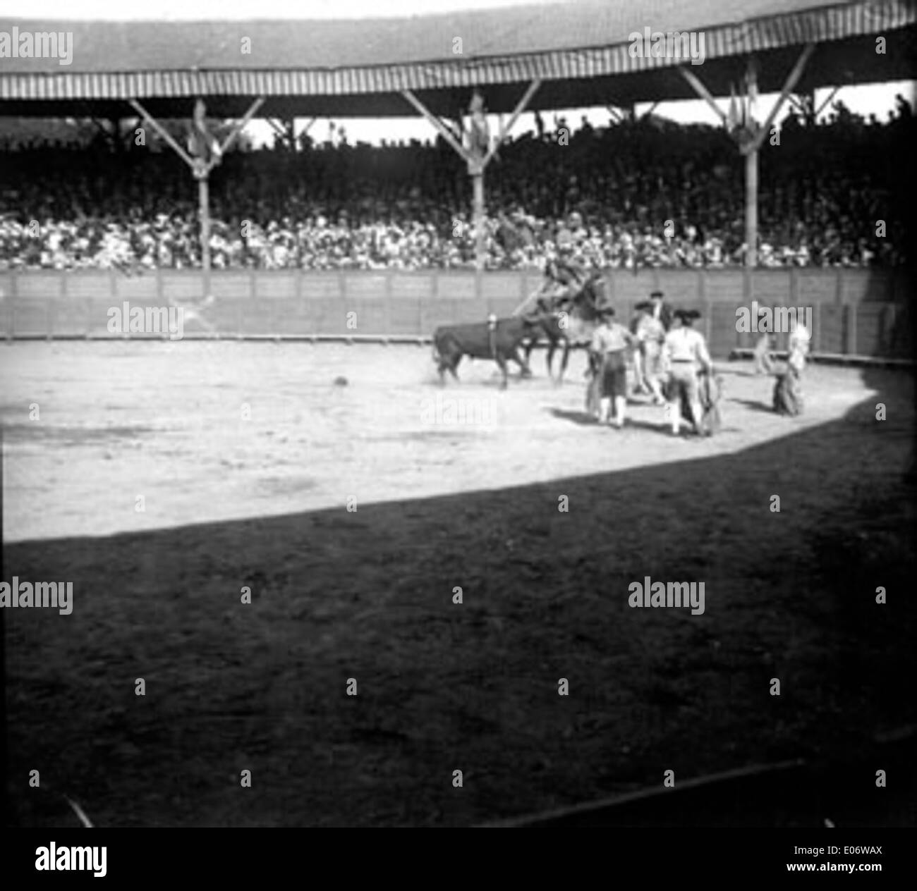 Une photographie de l'arène de la corrida avec des picadores, des toreros et un taureau en action, capturant l'atmosphère intense d'une corrida espagnole traditionnelle. Banque D'Images