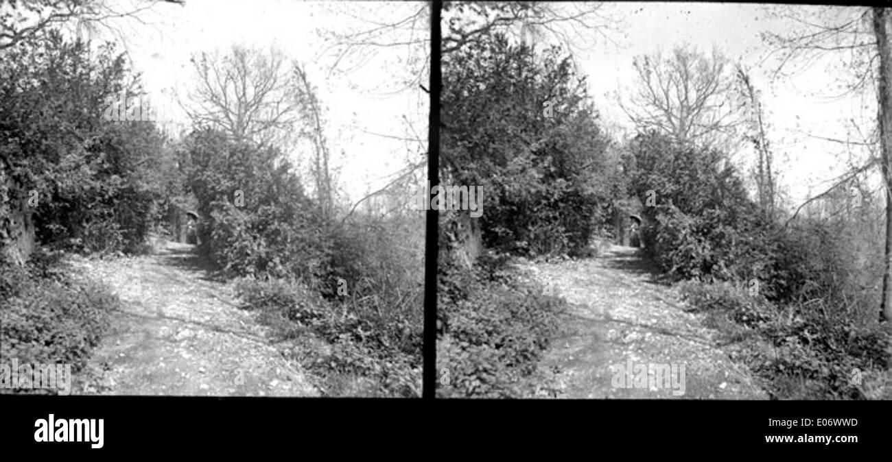 Une photo montrant une femme marchant le long d'un chemin forestier. L'image capture la tranquillité de la forêt, avec des arbres bordant le sentier et la femme profitant d'une promenade paisible. Banque D'Images