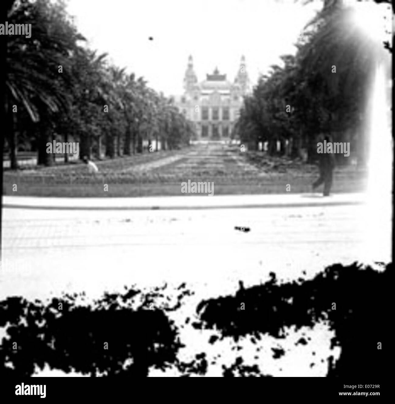 Allée de palmiers, jardins devant le casino de Monte-Carlo, [vers 1905] Banque D'Images