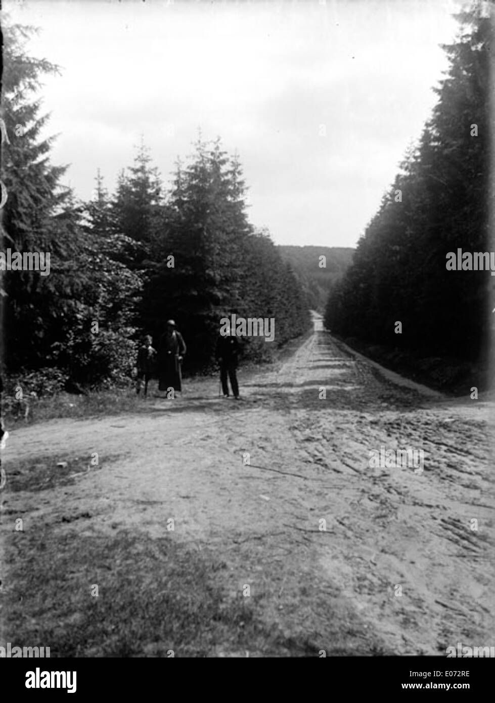 Cette œuvre montre une promenade familiale dans la forêt près de Bad EMS, dans la région Rhénanie-Palatinat en Allemagne. La scène capture la beauté de la nature et la tranquillité d'une promenade en forêt, avec des arbres et un environnement naturel représentés dans les moindres détails. Banque D'Images