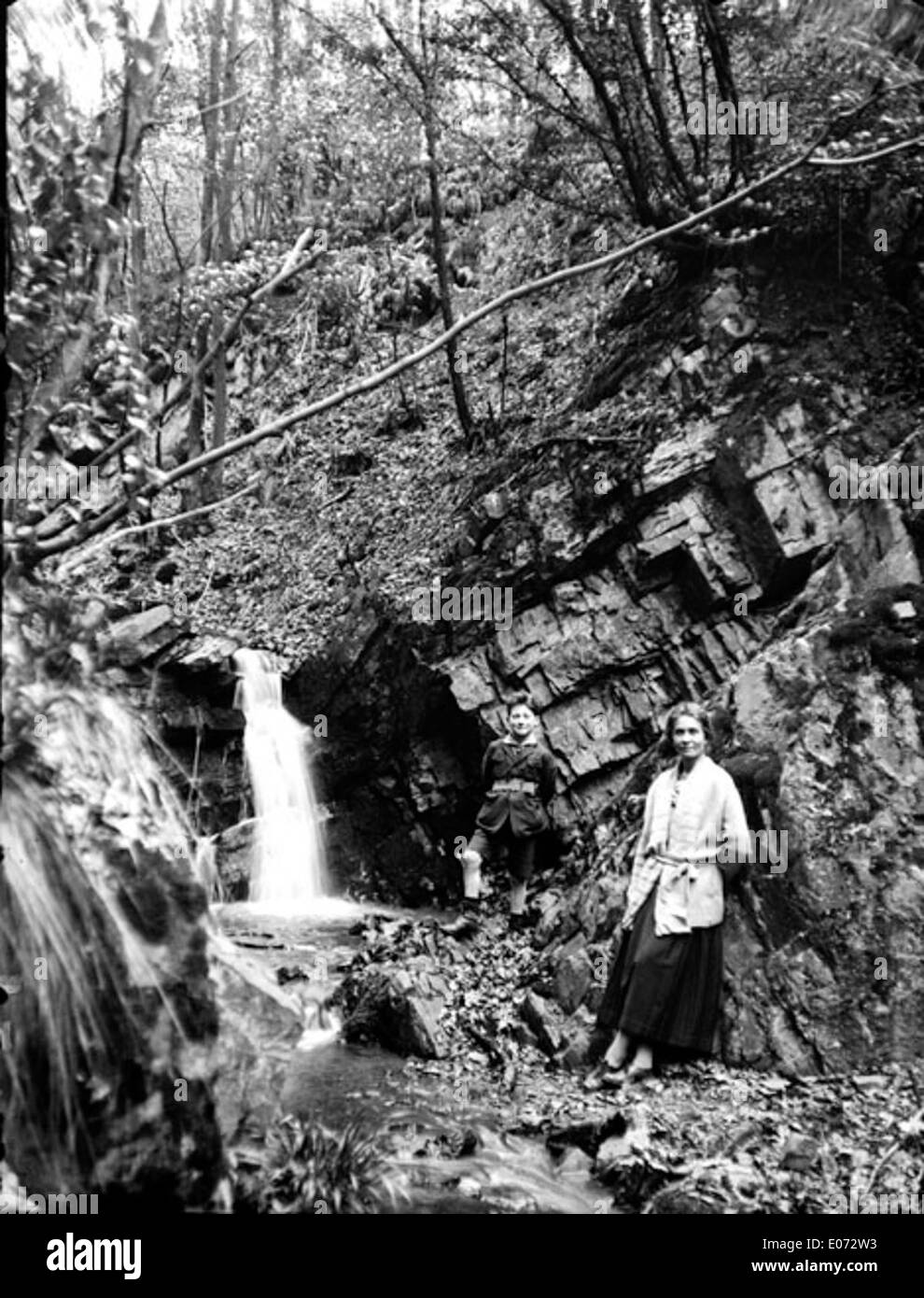 'Promenade en forêt, la cascade' est une peinture représentant une promenade en forêt près d'une cascade en Allemagne. La scène, capturée dans les détails vifs, met en évidence la beauté naturelle de la forêt et la sérénité procurée par les eaux en cascade. Banque D'Images