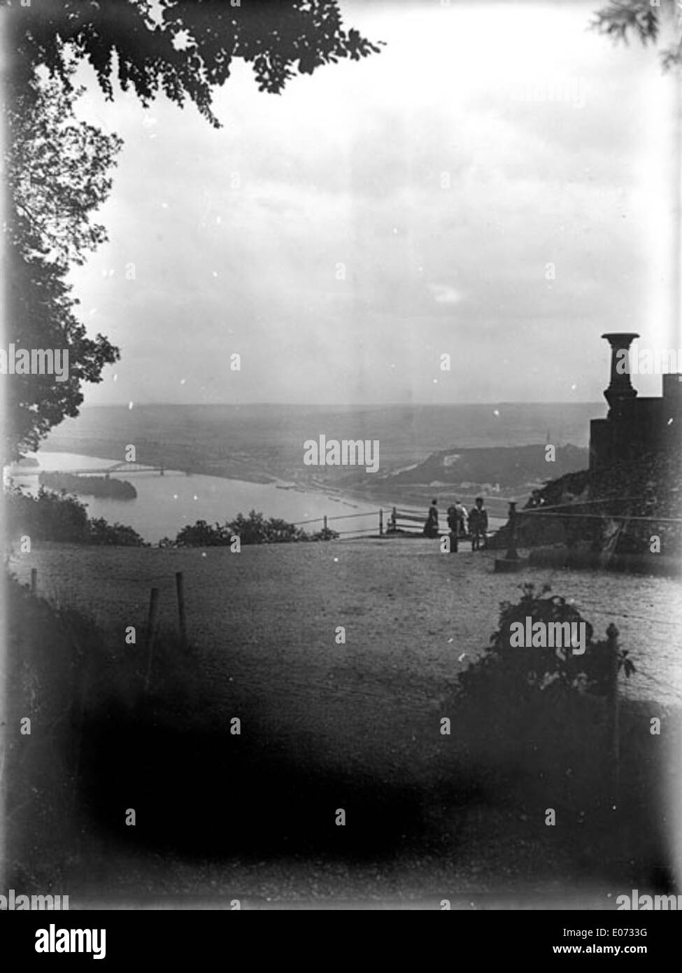 Cette œuvre d'art intitulée 'terrasse am nag, e dominante la vallée du Rhin' montre une vue panoramique sur la vallée du Rhin en Rhénanie-Palatinat. La scène capture la beauté naturelle de la vallée depuis une terrasse, offrant un paysage serein. Banque D'Images