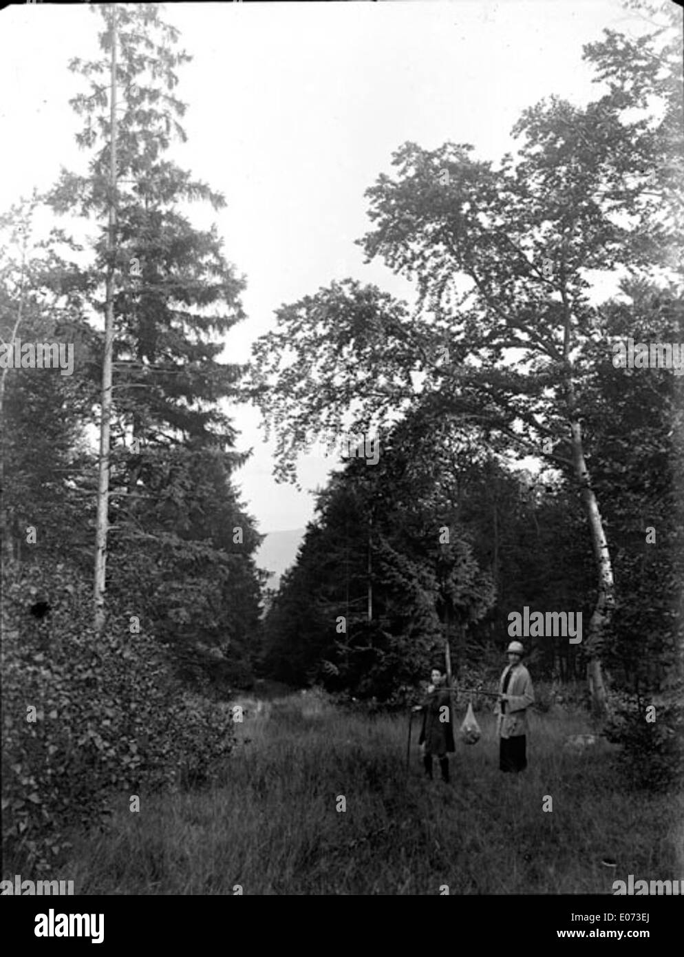 Une famille se promène dans les bois en Allemagne, capturant un moment paisible dans la nature, mettant l'accent sur les liens familiaux et le paysage naturel. Banque D'Images