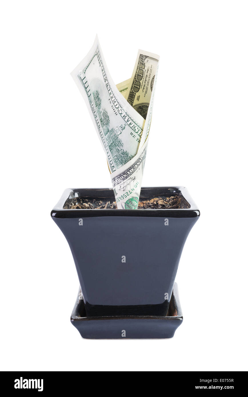 Arbre d'argent faits à partir de dollars isolé sur fond blanc Banque D'Images