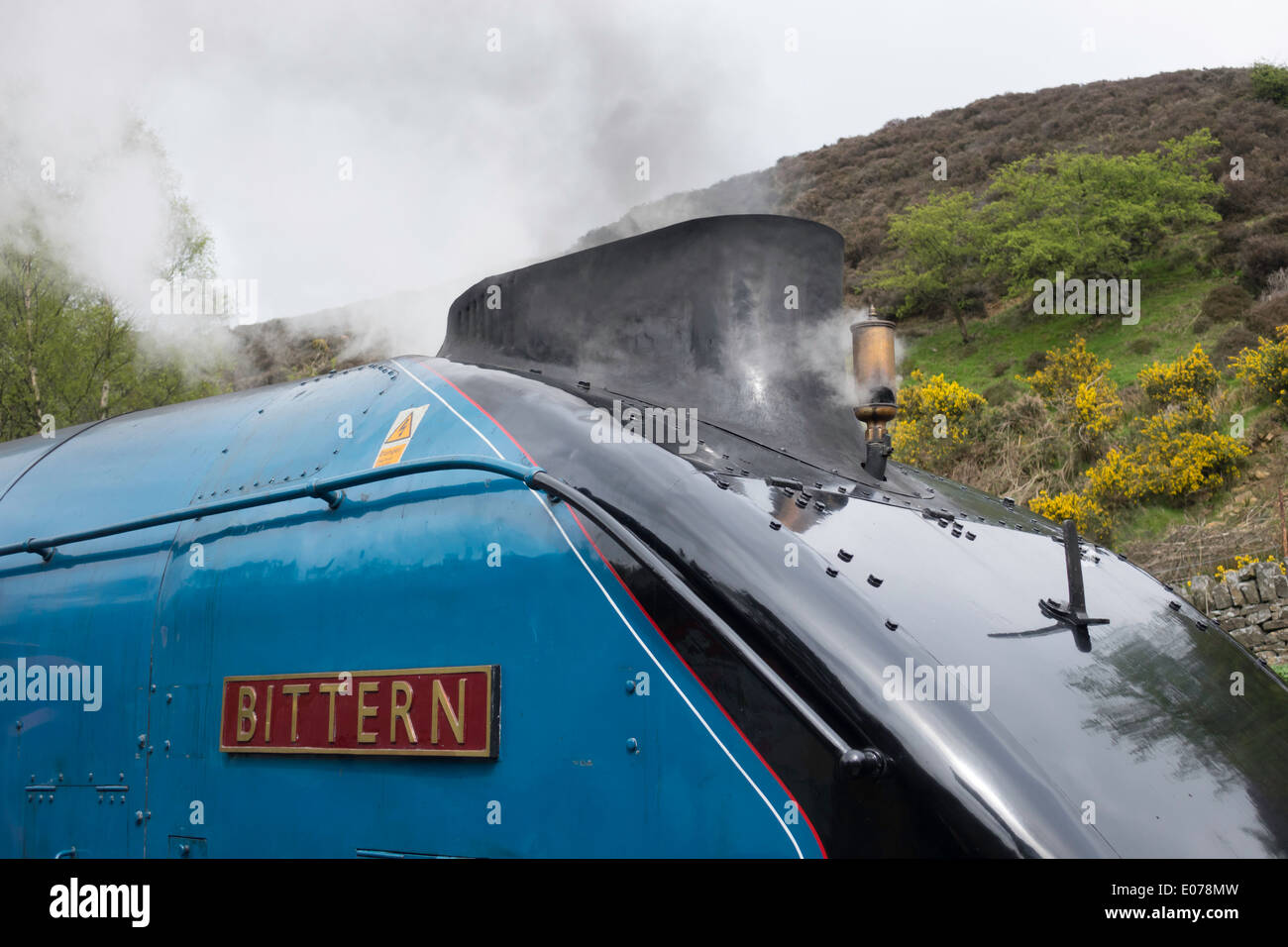 Détail de catégorie A4 ex LNER locomotive à vapeur no. Petit Blongios 4464 montrant la rationalisation et cheminée double sifflet Banque D'Images