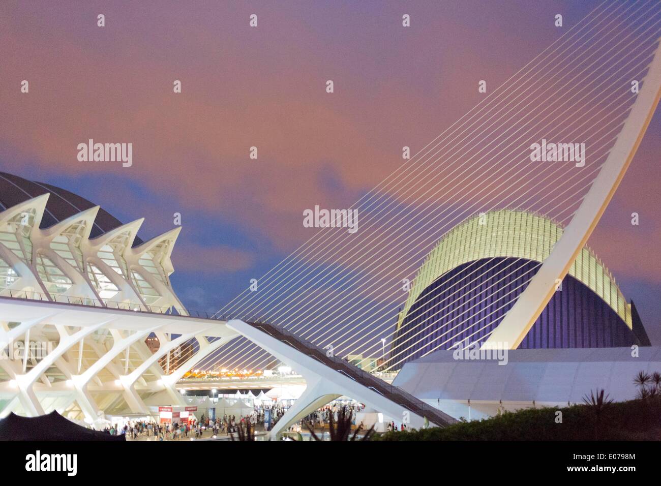 Cité des Arts et des sciences construit à partir de plans de l'architecte Santiago Calatrava dans la lumière du soir 29.10.2013 Banque D'Images