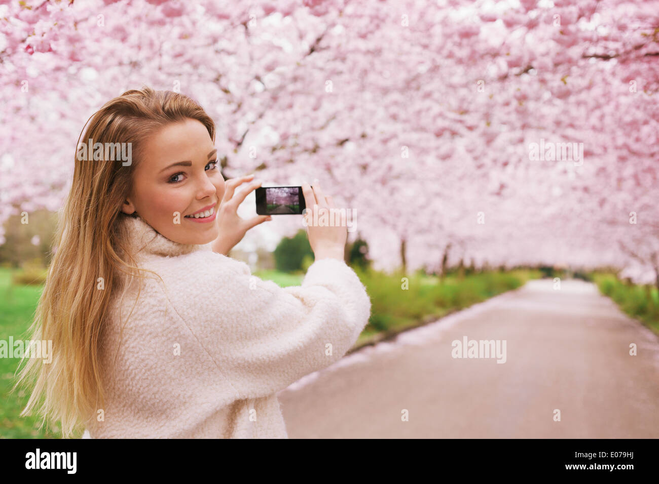 Jeune femme en utilisant son smartphone pour capturer des images de la voie et les fleurs de cerisier arbre au parc, jeune femme à la recherche de l'appareil photo. Banque D'Images